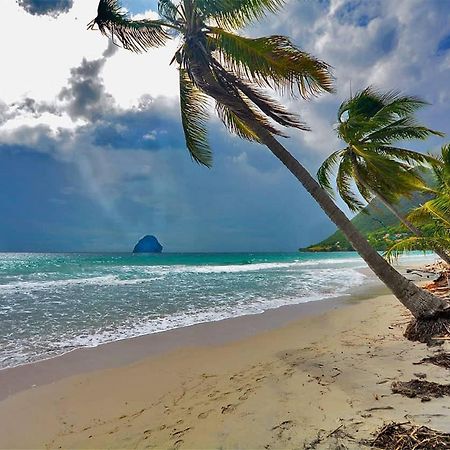 Malilia Beach A Sainte-Anne - Wifi -5 Min A Pied De La Plage Exteriör bild