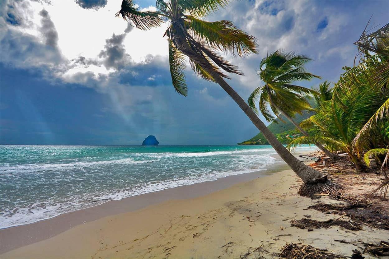 Malilia Beach A Sainte-Anne - Wifi -5 Min A Pied De La Plage Exteriör bild